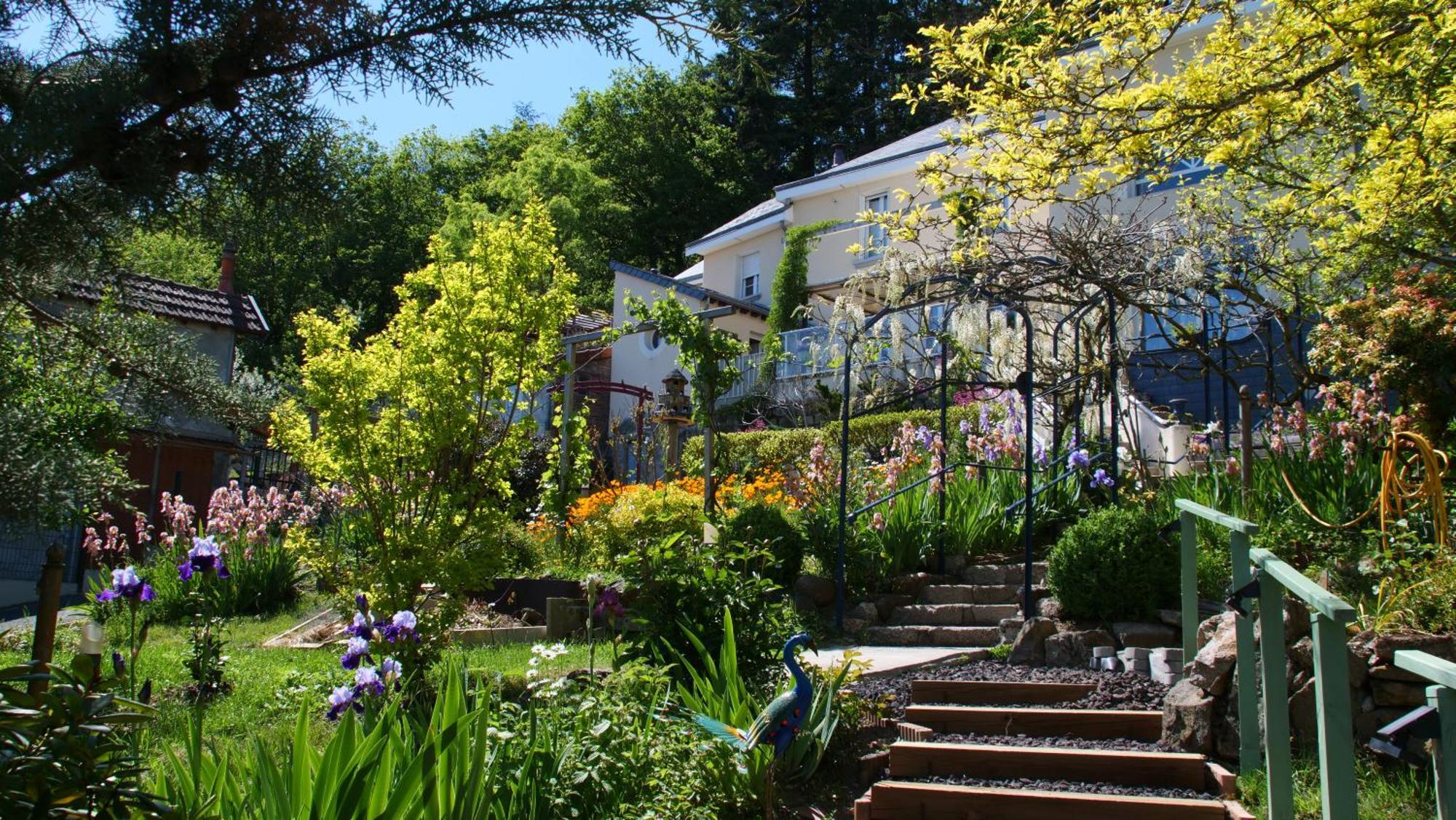 La Cadanise, Suite Du Parc Saint-Éloy-les-Mines 외부 사진